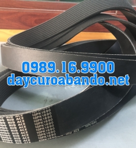 BANDO RIB ACE 10PK