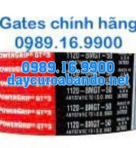DÂY CUROA GATES 1120-8MGT