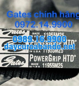 DÂY CUROA GATES 1195-5M