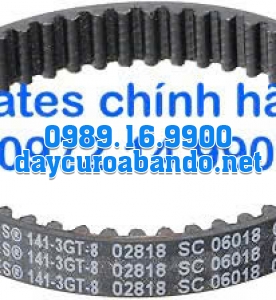 DÂY CUROA GATES 141-3GT