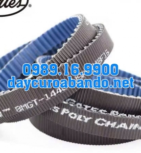 DÂY CUROA POLYCHAIN 8MGT-1440