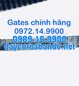 DÂY CUROA GATES 1685-5M
