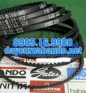 DÂY CUROA GATES 186-3GT