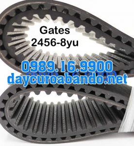 DÂY CUROA GATES 2456-8YU