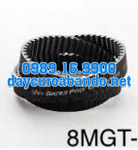 DÂY CUROA POLYCHAIN 8MGT-248