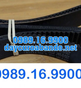 DÂY CUROA GATES 2495-5GT