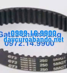DÂY CUROA GATES 250-5MGT