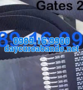 DÂY CUROA GATES 2600-8YU