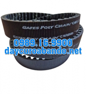 DÂY CUROA POLYCHAIN 14MGT-2660