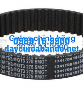 DÂY CUROA GATES 275-5MGT