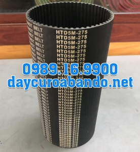 DÂY CUROA SUNDT 275-5M