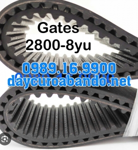 DÂY CUROA GATES 2800-8YU