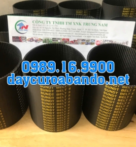 DÂY CUROA SUNDT 291-3M