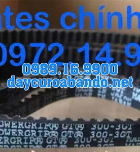 DÂY CUROA GATES 300-3GT