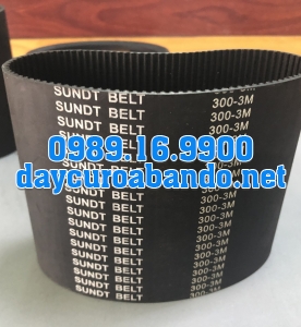 DÂY CUROA SUNDT 300-3M