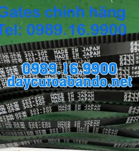 DÂY CUROA GATES 303-3GT