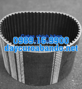 DÂY CUROA GATES 305-5M