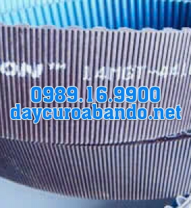 DÂY CUROA POLYCHAIN 14MGT-4410