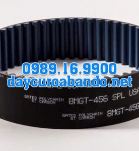 DÂY CUROA POLYCHAIN 8MGT-456