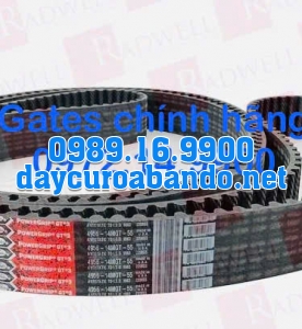 DÂY CUROA GATES 4956-14MGT
