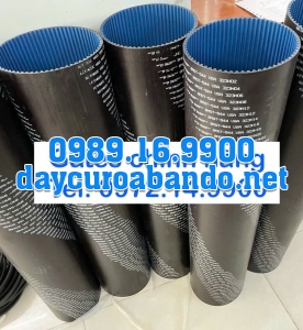 DÂY CUROA POLYCHAIN 8MGT-544