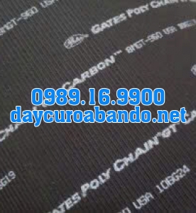 DÂY CUROA POLYCHAIN 8MGT-560