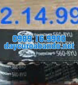 DÂY CUROA GATES 560-8YU