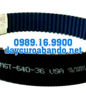 DÂY CUROA POLYCHAIN 8MGT-640