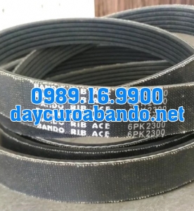 BANDO RIB ACE 6PK