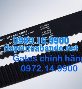 DÂY CUROA GATES 800-5MGT