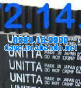 DÂY CUROA GATES 824-8YU