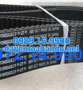 DÂY CUROA GATES 895-5GT