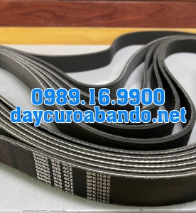 BANDO 8PK-1560