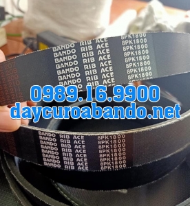 BANDO 8PK-1800