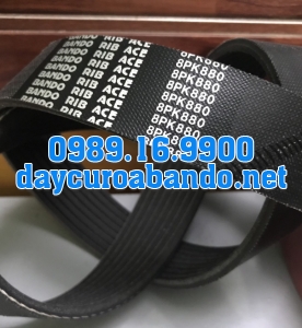 BANDO 8PK-880