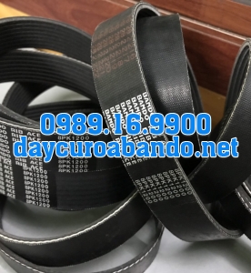 BANDO RIB ACE 8PK