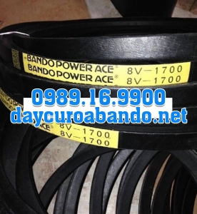 BANDO 8V1700