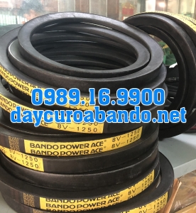 BANDO 8V1250