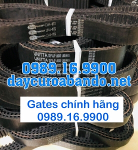 DÂY CUROA GATES 8YU CHÍNH HÃNG