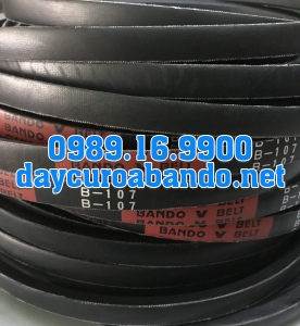 DÂY CUROA B107
