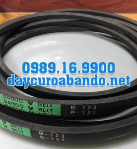 V-BELT B123