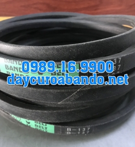 DÂY CUROA B137