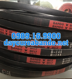 V-BELT B145