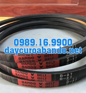 V-BELT B37