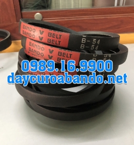 V-BELT B54