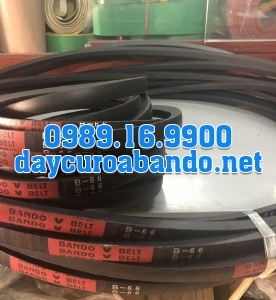 V-BELT B66
