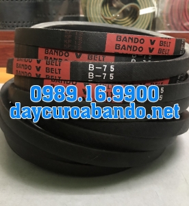 V-BELT B75