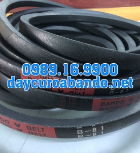 V-BELT B81