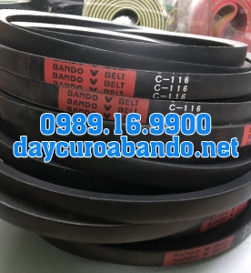 V-BELT C116