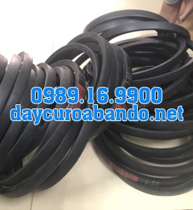 V-BELT C173